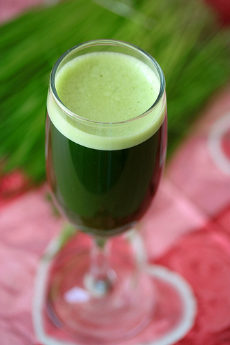 jus-vert-floridecires