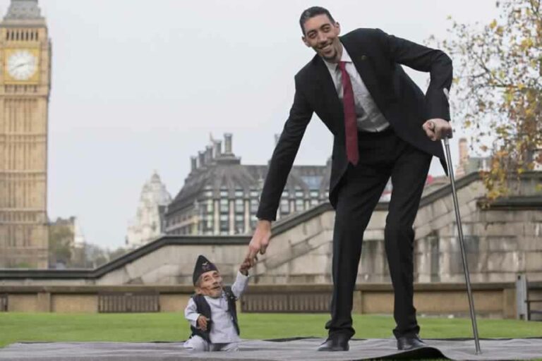 L’homme le plus grand du monde rencontre le plus petit