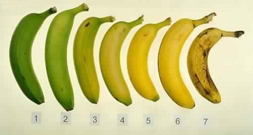 Vous ne verrez plus jamais une banane de la même façon ! Voici pourquoi