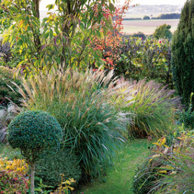 Profiter de la vue derrière le jardin<br />F. Marre - Rustica - Le petit clos
