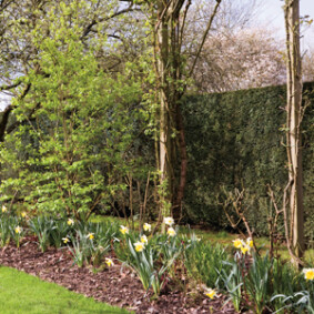 Des antibruits au jardin<br />F. Boucourt - Rustica – Jardin de Castillon-Plantbessin