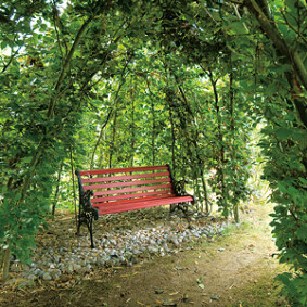 Petits coins intimes au jardin<br />L. Hégo - Rustica – Jardin de Ly