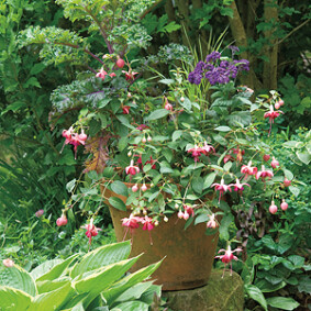 Profiter de l'ombre au jardin<br />L. Hégo - Rustica