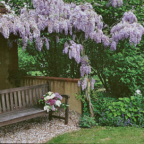 Se protéger des regards extérieurs au jardin<br />F. Marre - Rustica