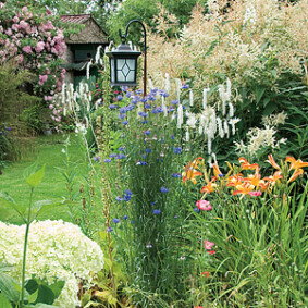 Eclairer le jardin - F. Marre - Rustica - Le petit clos
