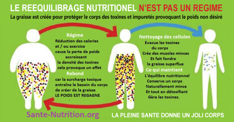 Comment réduire naturellement les envies de malbouffe