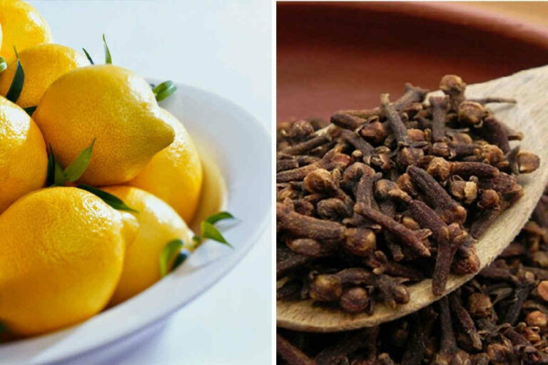 Citron et girofle : un mélange plein de santé
