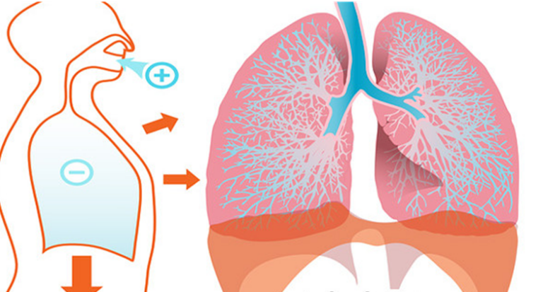 Comment S’endormir En Moins d’1 Minute Grâce à un Simple Exercice de Respiration