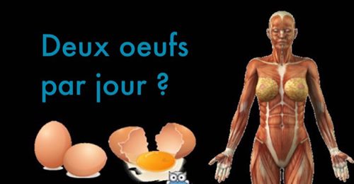 Manger 2 œufs par jour à de nombreux bénéfices pour la santé selon ces chercheurs