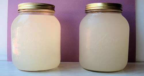 Kéfir d’Eau de Coco : Une Solution Naturelle pour les Problèmes Intestinaux