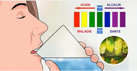 Voici ce que vous devez faire pour alcaliniser votre corps et rester en bonne santé
