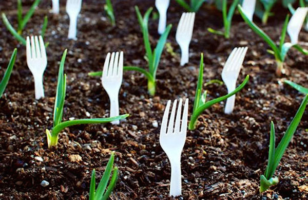 Pourquoi planter des fourchettes dans le jardin est une astuce brillante