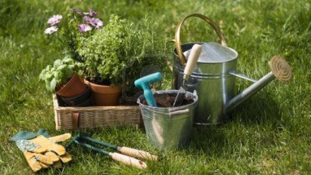 Cultiver et entretenir votre jardin, votre potager et vos plantes d’intérieur