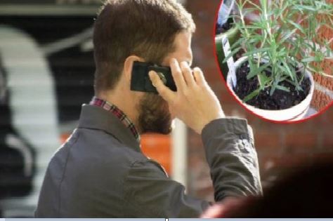 Comment se protéger des radiations du téléphone portable en utilisant un remède maison