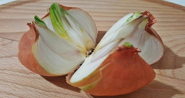 Les Précautions à Prendre avec les Oignons Coupés