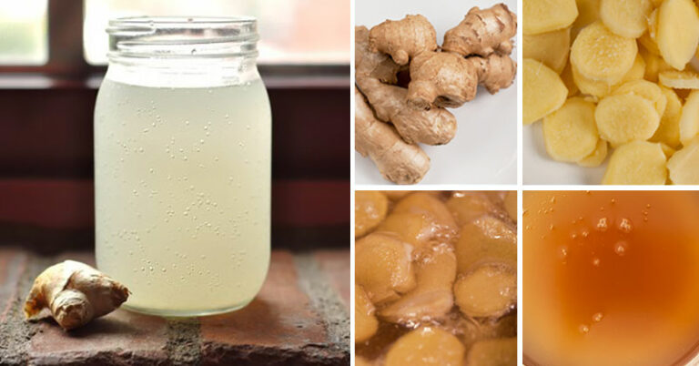 Recette de soda au gingembre qui soulage des migraines