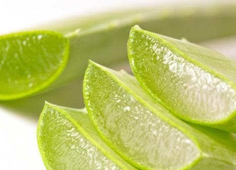 L’aloe vera peut traiter l’eczéma, le psoriasis, la dermatite, et les allergies de la peau naturellement