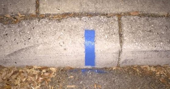 Si vous voyez une ligne bleue sur le trottoir en dehors de votre maison, ce qu’elle signifie