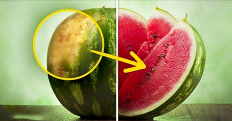 5 astuces pour choisir un melon d’eau parfait à tous les coups!