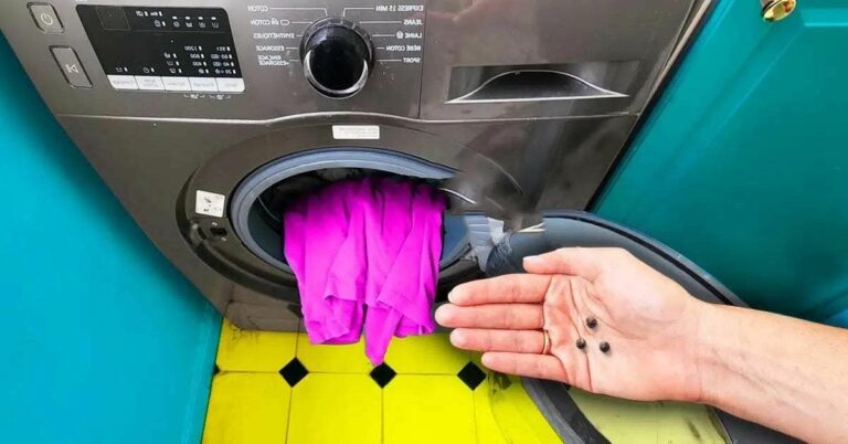 Gardez Vos Vêtements Colorés Éclatants avec Cette Astuce au Poivre »