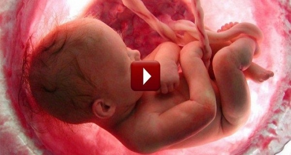 Une étonnante vidéo résume les 9 mois de vie d’un fœtus en quelques minutes