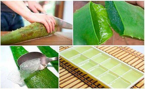 Cette recette est la plus facile à utiliser pour fabriquer un savon naturel à l’aloe vera