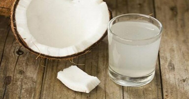 Les Vertus de l’Eau de Coco : Un Élixir Naturel pour Votre Santé et Votre Bien-être