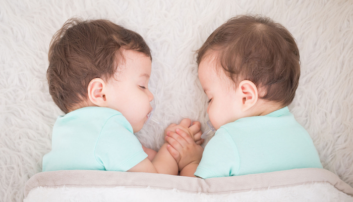 En vidéo : Comment se déroule la formation des jumeaux ?