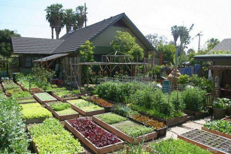 Découvrez comment cette famille a cultivé plus de 2720 kg de nourriture