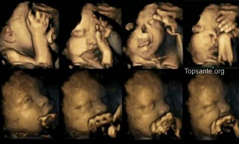 Voici la réaction d’un foetus quand sa mère fume !