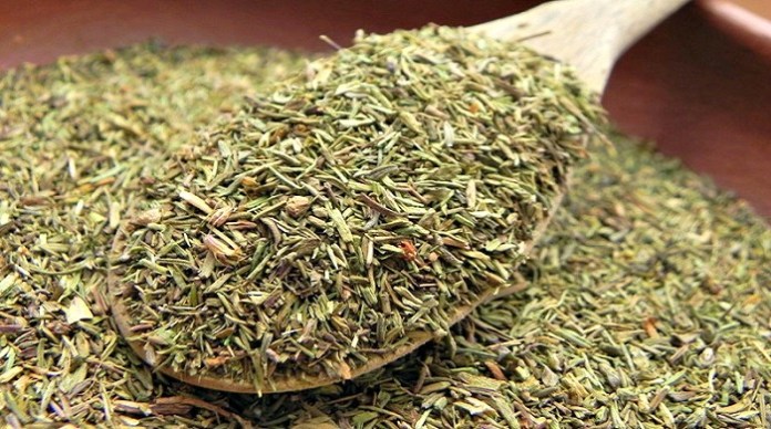 Les Bienfaits du Thym : Une Plongée dans l’Histoire et une Recette de Thé Revitalisante