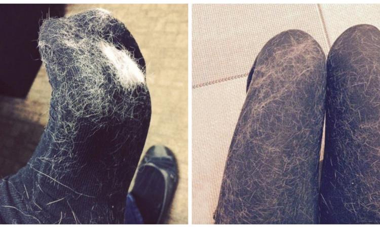 Comment éliminer efficacement les poils d’animaux sur vos vêtements ?
