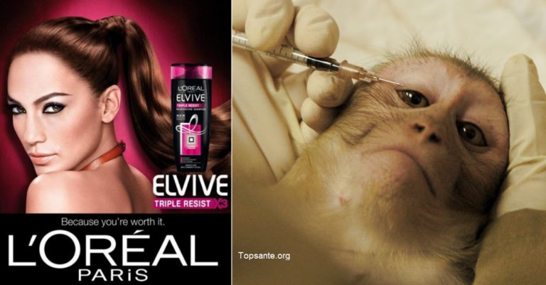 Demandez à L’Oréal d’arrêter immédiatement de tester des animaux innocents!