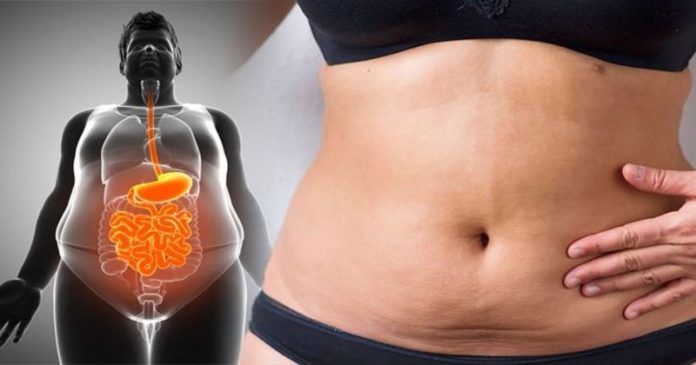 Révélez Votre Ventre Plat : 5 Cures Efficaces et Économiques pour Dire Adieu à la Graisse Abdominale ! ??