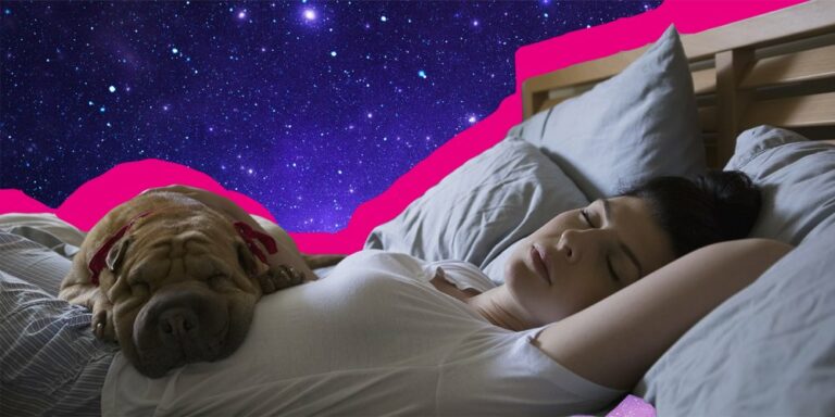 Pourquoi les femmes ont besoin de plus de sommeil que les hommes !