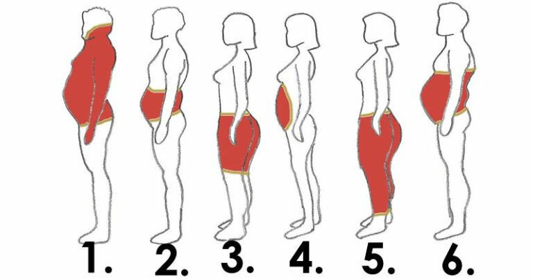 6 types de graisse corporelle et comment s’en débarrasser