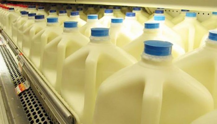 Pourquoi le lait de vache est si mauvais pour la santé …