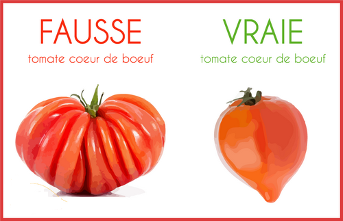 L’arnaque de la fausse cœur de bœuf, tomate star de l’été