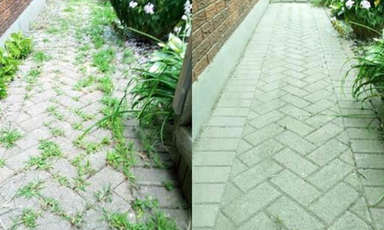 Plus besoin d’acheter de désherbant chimique ! utilisez plutôt ce désherbant 100% naturel