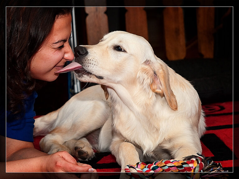 Conseil du vétérinaire : Pourquoi vous devriez éviter de laisser votre chien vous lécher le visage