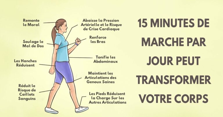 15 minutes de marche par jour peut transformer votre corps !