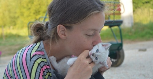 Le chat est un médicament naturel qui réduit l’anxiété et le stress, baisse le risque de maladies cardiaques et les AVC