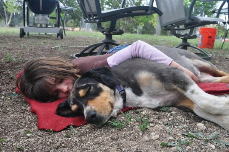 Dormir avec votre chien favoriserait le sommeil selon une étude