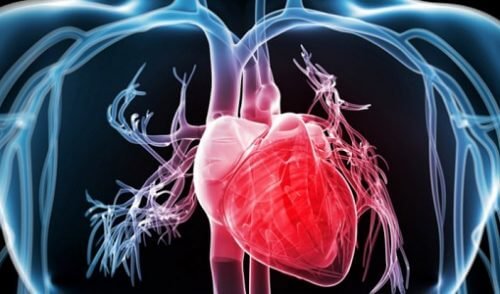 Les 4 secrets pour renforcer votre cœur