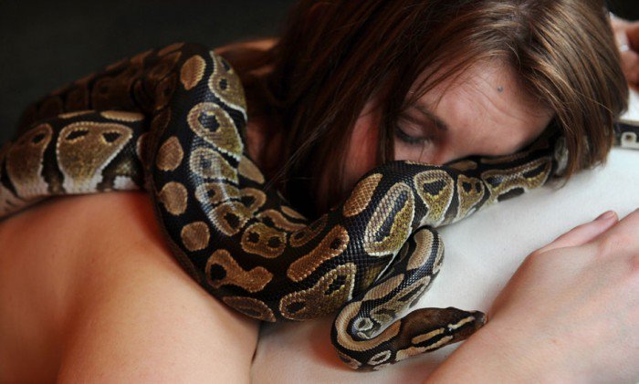 La jeune femme dort avec son python tous les soirs – il arrête de manger et le vétérinaire comprend pourquoi