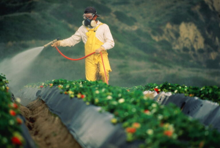 Pesticides toxiques : la face cachée de l’agriculture biologique !