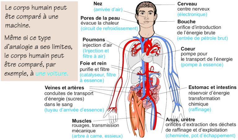 Voici 7 douleurs que vous ne devriez jamais ignorer