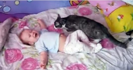  Le bébé pleure désespérément… Regardez ce que le chat va faire !