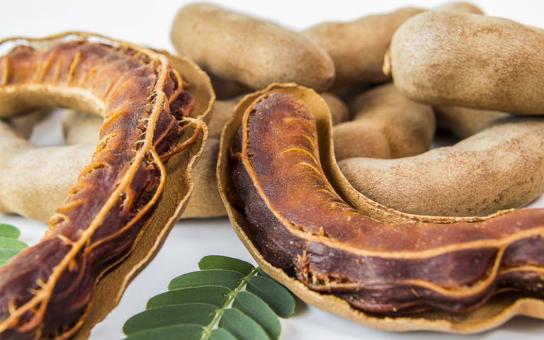 Le tamarin : un fruit aux bienfaits naturels pour la digestion, le cœur et l’équilibre glycémique