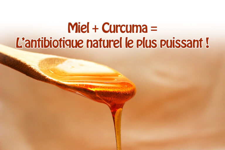 La recette de l’antibiotique le plus puissant «curcuma + miel»